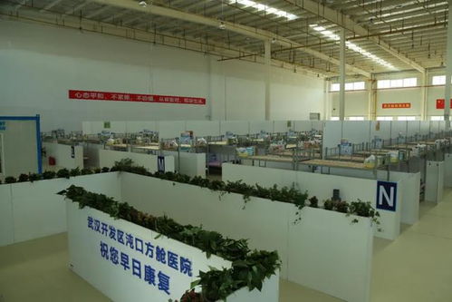 匠心筑路獻華誕，車都集團以工匠精神打造公路工程精品